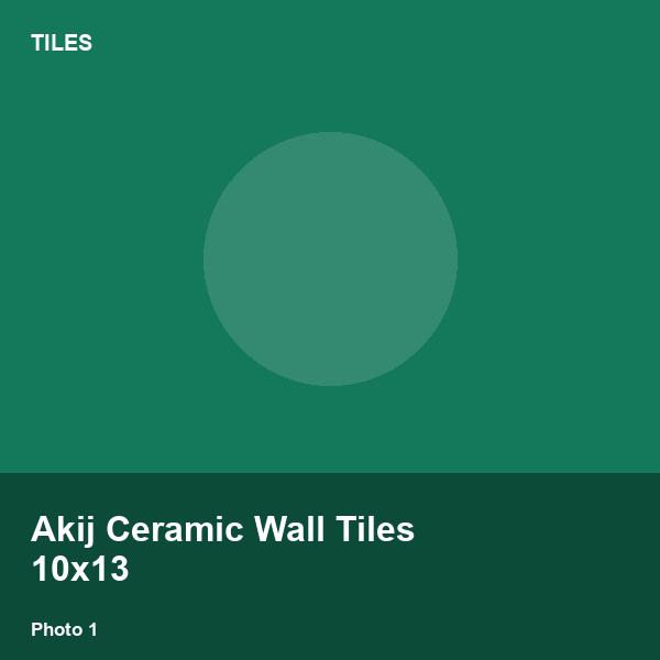 Akij Ceramic Wall Tiles 10x13