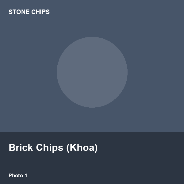 Brick Chips (Khoa)